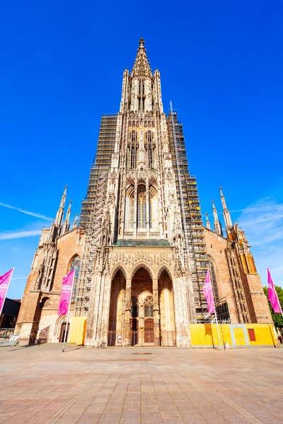 Ulm Minster Ulmer Munster Cathedral Είναι Μια Λουθηρανική Εκκλησία Που — Φωτογραφία Αρχείου