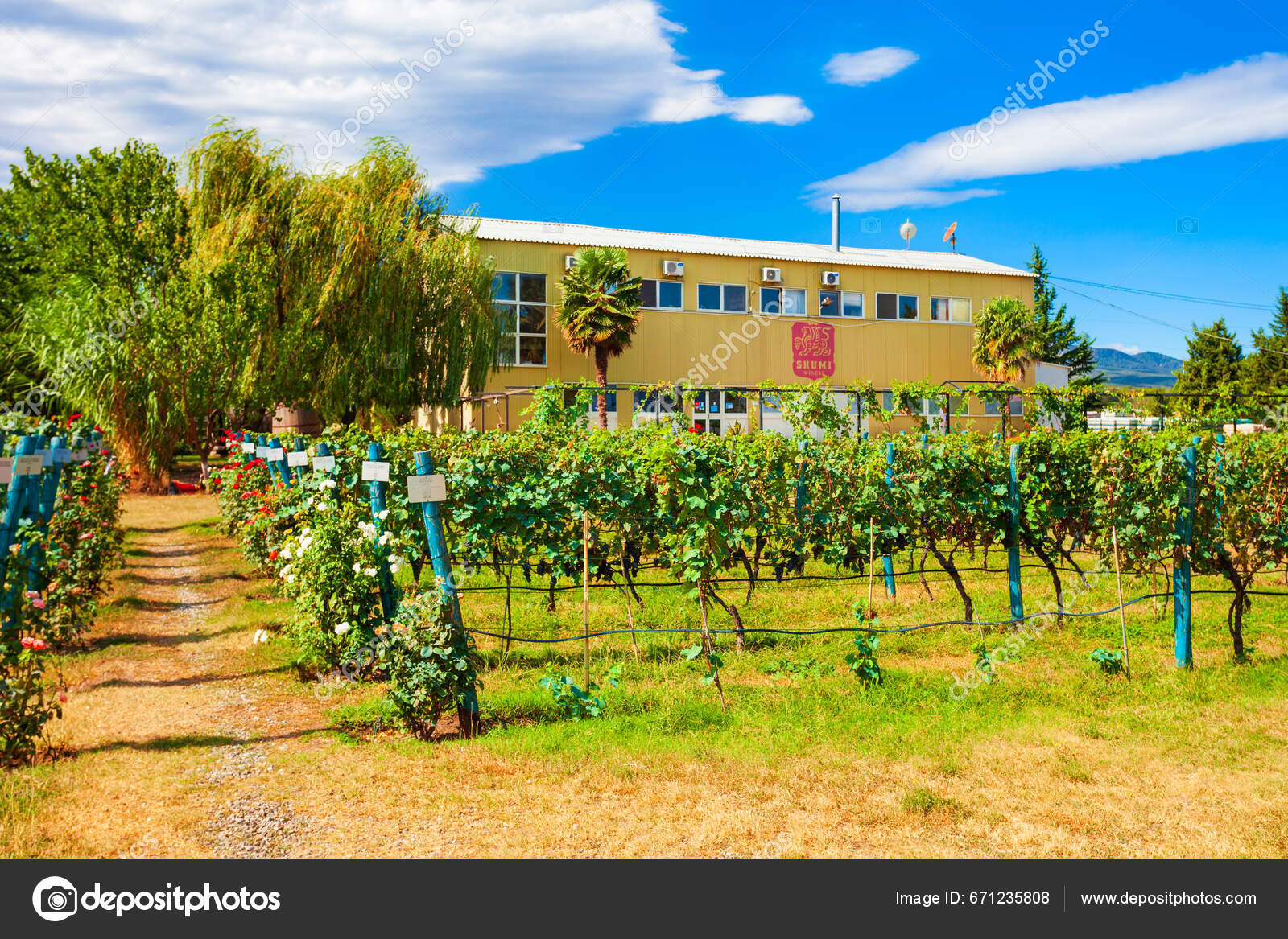 Dahlonega Ga Nearest Wineries To Me Georgia Farm Winery Near Me