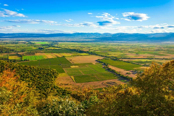 Долина Алазані Кахеті Кахетія Регіон Сході Грузії Столицею Якого Телаві — стокове фото