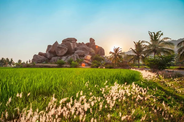 Рисове Поле Гора Хампі Центрі Індуїстської Імперії Віджаянагара Штаті Карнатака — стокове фото