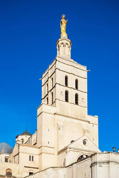 Avignon Katedrális Avignon Városban Dél Franciaország — Stock Fotó