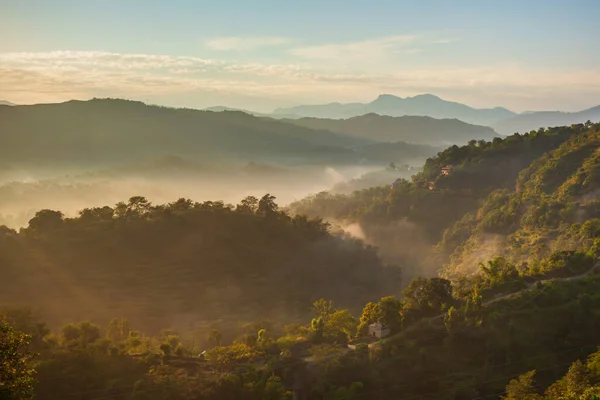 Γραφική Θέα Του Τοπίου Της Δασωμένης Βουνοπλαγιάς Στην Ομίχλη Και — Φωτογραφία Αρχείου