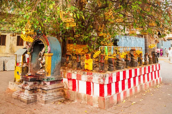 ミーナクシアンマン寺院の近くの聖なる木は インドのタミルナードゥ州マドゥライ市に位置する歴史的なヒンドゥー教寺院です — ストック写真