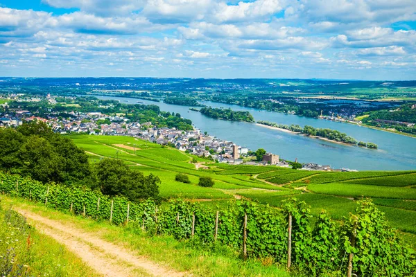 Vineyards Rudesheim Rhein Bingen Rhein Town Aerial Panoramic View Rhine — Stock Photo, Image