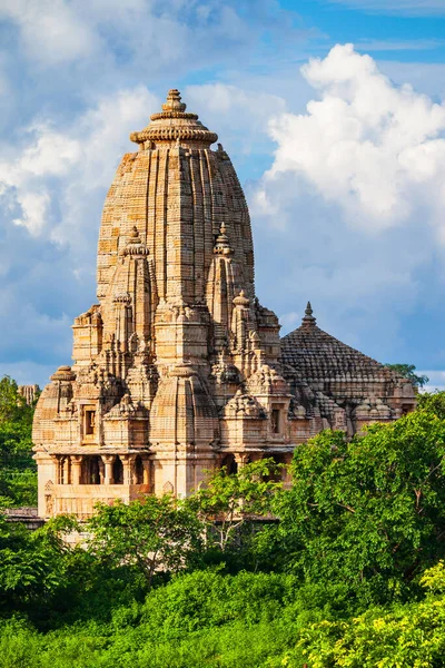 メエラ寺院 Meera Temple インド ラジャスタン州チットールガート市にあるヒンドゥ教の寺院 — ストック写真