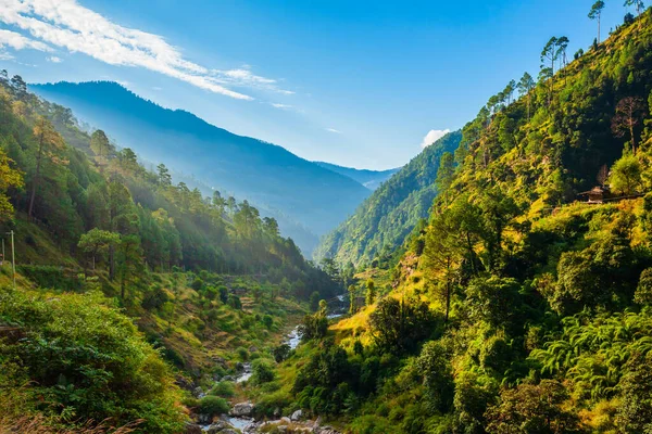 森林に覆われたヒマラヤ山脈 インドのヒマカル プラデーシュ州の風景パノラマビュー — ストック写真
