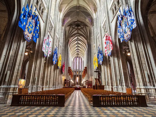 Die Kathedrale Von Orleans Oder Basilique Cathedrale Sainte Croix Orleans — Stockfoto