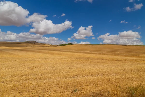 Vista Campo Coltivato Nel Nord Della Spagna — Foto Stock