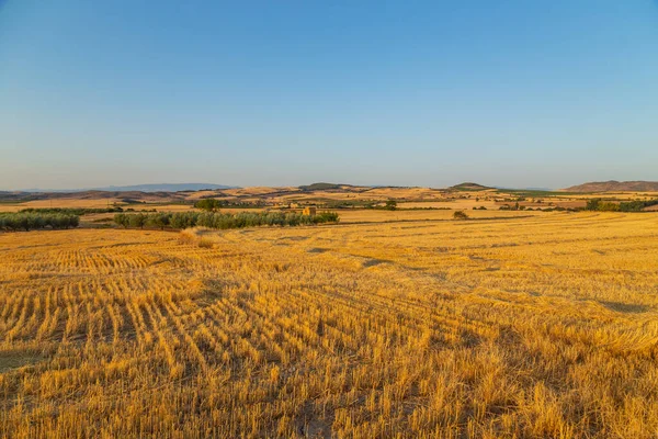 Vista Campo Cultivo Norte España — Foto de Stock