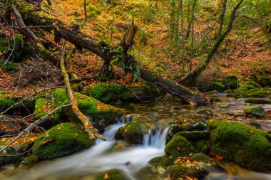 nehir şelale ülkenin kuzeyinde geres, Portekiz Milli Parkı içinde