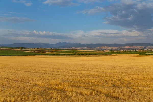 Vista Campo Cultivo Norte España —  Fotos de Stock