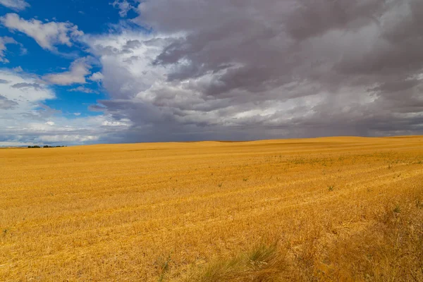 Blick Auf Ein Getreidefeld Norden Spaniens — Stockfoto