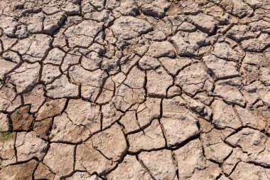 Portekiz 'in kuzeyindeki Pisoes' da çatlamış kuru toprak dokusu.