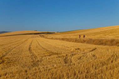 Navarre, İspanya: Seyyahlar St. James hac yolu olan Camino De Santiago boyunca yürürler, Navarra, İspanya.