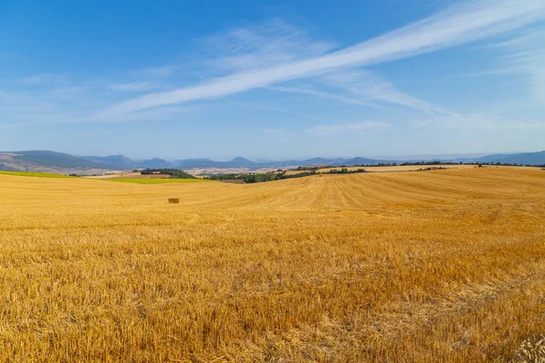 スペイン北部の作物畑の眺め — ストック写真