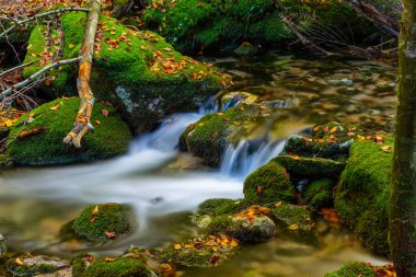 nehir şelale ülkenin kuzeyinde geres, Portekiz Milli Parkı içinde
