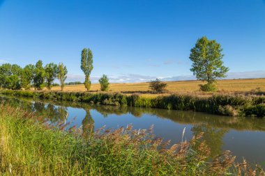 Navarra ilindeki küçük bir nehir ve tarlaların manzarası. İspanya 'nın kuzeyi