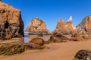 Praia da Ursa (Ursa Plajı), Sintra 'da, Lizbon yakınlarında, Portekiz.