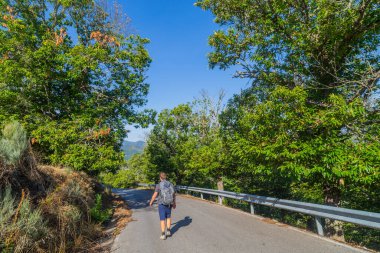 Navarre, İspanya: Seyyah Camino De Santiago boyunca yürü, St. James hac yolu, Navarra, İspanya.