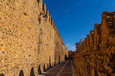 Leon 'un duvarlarının kalıntıları.