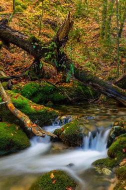 nehir şelale ülkenin kuzeyinde geres, Portekiz Milli Parkı içinde