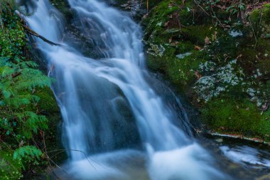 nehir şelale ülkenin kuzeyinde geres, Portekiz Milli Parkı içinde