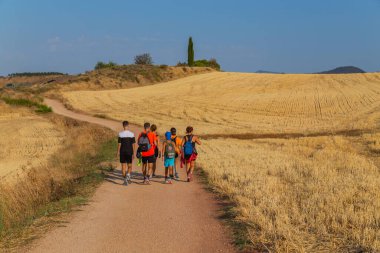 Navarre, İspanya: Seyyahlar St. James hac yolu olan Camino De Santiago boyunca yürürler, Navarra, İspanya.