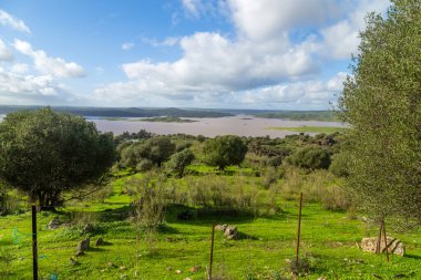 The Tagus river near Caceres, Spain