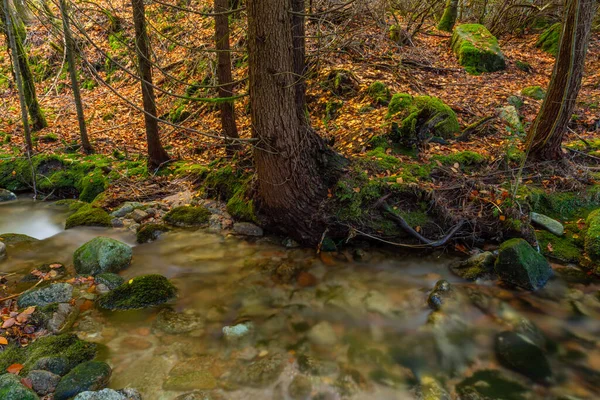 nehir şelale ülkenin kuzeyinde geres, Portekiz Milli Parkı içinde