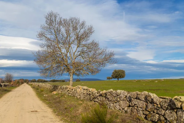 Plata Tie Silver Way Santiagoon Extremadurassa Espanja — kuvapankkivalokuva