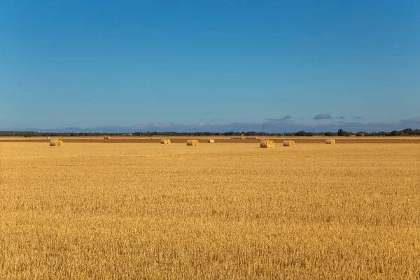 スペイン北部の作物畑の眺め — ストック写真