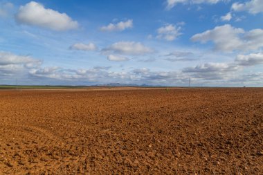 Extremadura ovalarında ekilmiş tarla, İspanya
