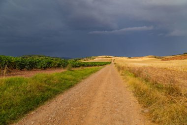 Rural road in the Spanish countryside among agricultural fields, after wheat harvest season. Navarra, Spain