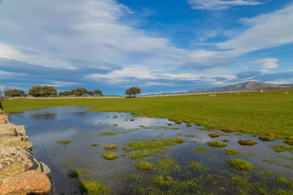 Landschaft Mit Bäumen Die Sich Wasser Der Nähe Von Arroyo — Stockfoto