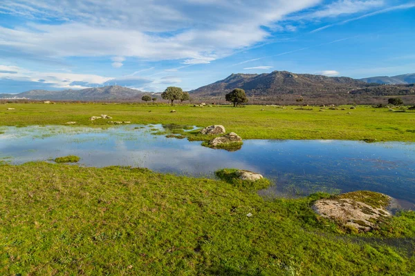 Krajina Stromy Odráží Vodě Poblíž Arroyo Luz Extremadura Španělsko — Stock fotografie
