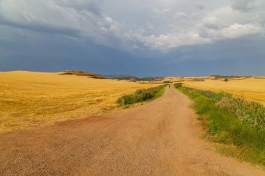Navarre, İspanya: Seyyahlar St. James hac yolu olan Camino De Santiago boyunca yürürler, Navarra, İspanya.