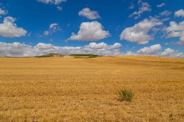 Vista Campo Cultivo Norte Espanha — Fotografia de Stock