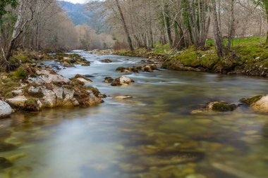 Portekiz Ulusal Parkı 'ndaki Geres' te uzun süre görülmüş. Arcos de Valdevez, Portekiz