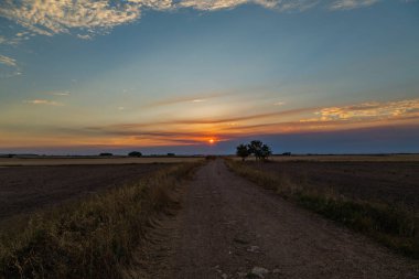 Sunset and cereal farmland. Tierra Estella. Navarre, Spain, Europe.