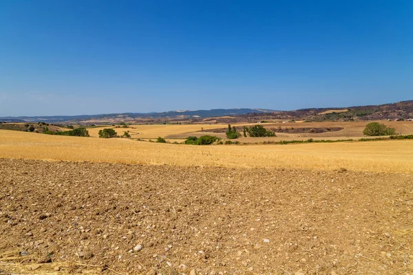 Uitzicht Een Akkerland Het Noorden Van Spanje — Stockfoto