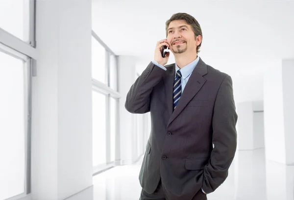 Ευτυχισμένος Επιχειρηματίας Στο Τηλέφωνο Στο Γραφείο — Φωτογραφία Αρχείου