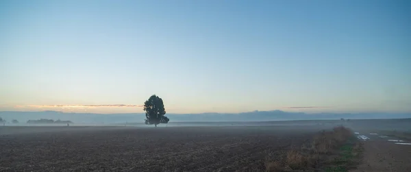 Misty Rural Landscape Sunrise Andalusia Spain — Stock Photo, Image