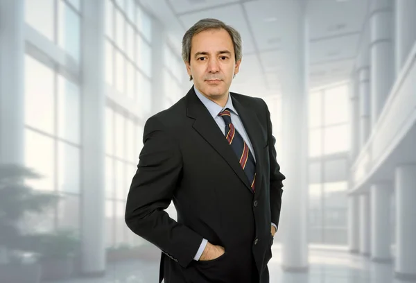 Volwassen Business Man Portret Het Kantoor — Stockfoto