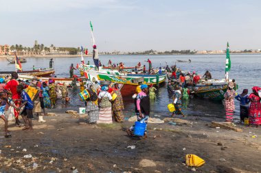 MBour, Senegal: Dakar yakınlarındaki liman kentindeki balık pazarında kimliği belirsiz Senegalli erkek ve kadınlar.