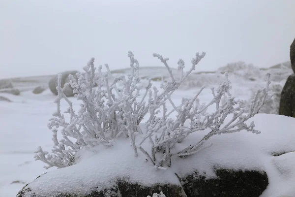 Winterlandschap Met Sneeuw Bergen Van Natuurpark Serra Geres Portugal — Stockfoto
