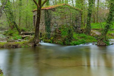 Homem River, Amares, Portekiz 'deki eski bir su değirmeninin yanında uzun süre kalmışlar.