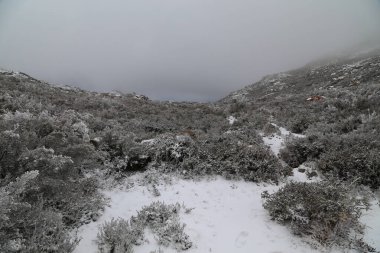 Portekiz 'deki Serra do Geres doğal parkında karlı kış manzarası.