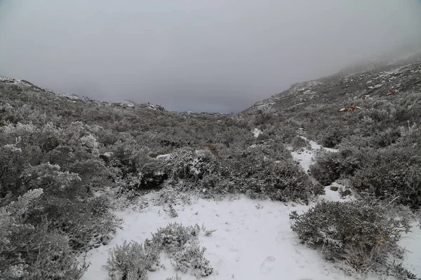 Zimní Krajina Sněhem Horách Přírodního Parku Serra Geres Portugalsko — Stock fotografie