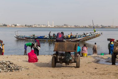 Dakar, Senegal: Alıcı ve satıcı insanlar Dakar, Senegal, Batı Afrika 'daki sahilde yeni balık yakaladılar