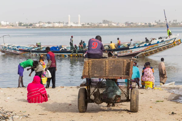 Dakar Senegal Lidé Kteří Kupují Prodávají Právě Vyložené Ryby Pláži — Stock fotografie